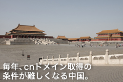 ※photo